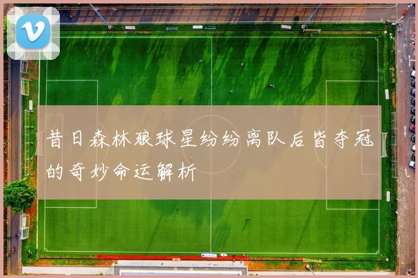 昔日森林狼球星纷纷离队后皆夺冠的奇妙命运解析