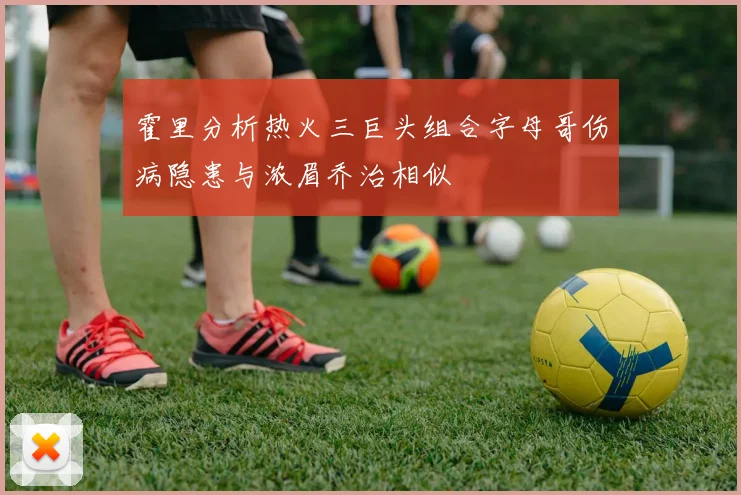 霍里分析热火三巨头组合字母哥伤病隐患与浓眉乔治相似